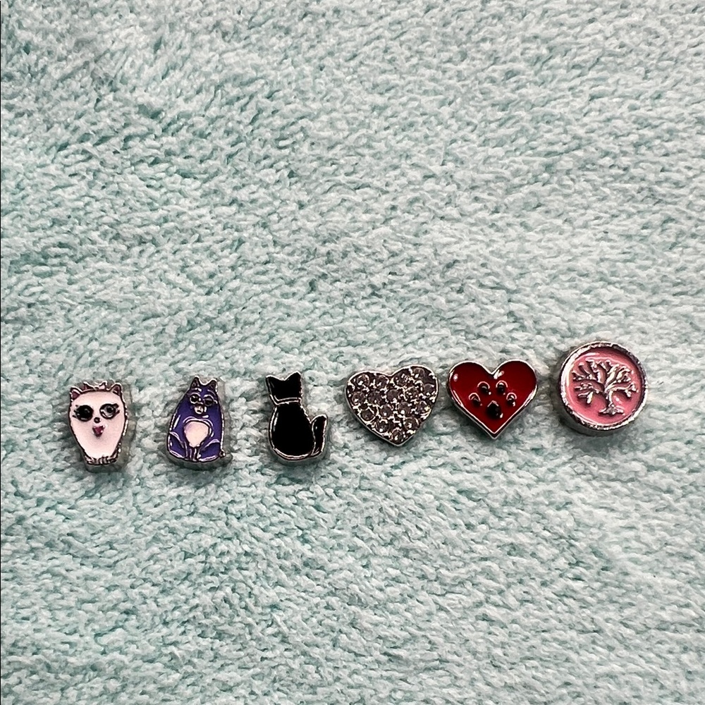 Cat and Heart Floating Locket Charms